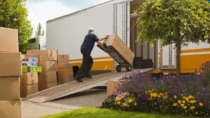 kitchener movers